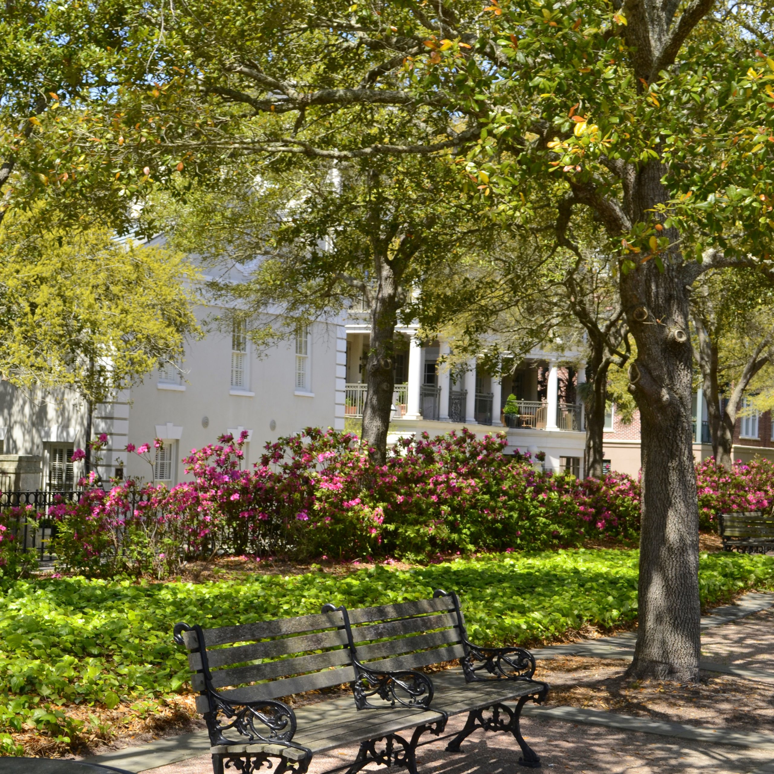 Summerville SC Park